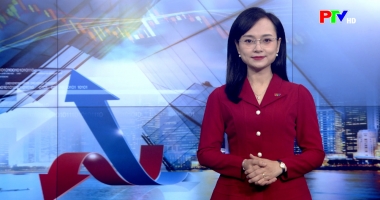 Thị trường tiêu dùng ngày 31-12-2025