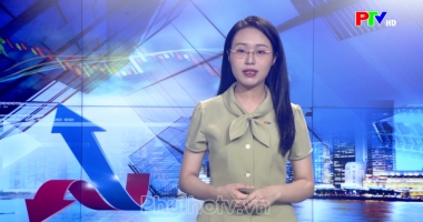 Thị trường tiêu dùng ngày 07-08-2026