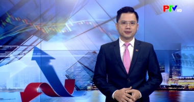 Thị trường tiêu dùng ngày 03-01-2026