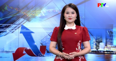 Thị trường tiêu dùng ngày 02-09-2026