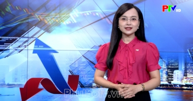 Thị trường tiêu dùng ngày 10-09-2026