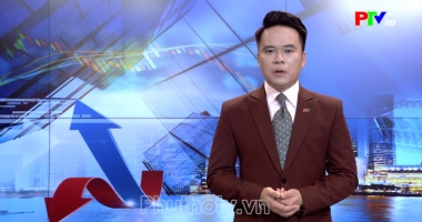 Thị trường tiêu dùng ngày 29-09-2026