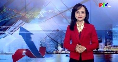 Thị trường tiêu dùng ngày 6-1-2026