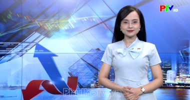 Thị trường tiêu dùng ngày 08-10-2026