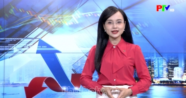 Thị trường tiêu dùng ngày 10-10-2026