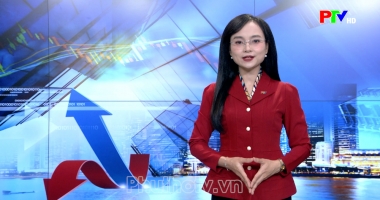 Thị trường tiêu dùng ngày 17-10-2026