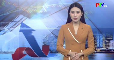 Thị trường tiêu dùng ngày 16-01-2026