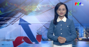 Thị trường tiêu dùng ngày 12-02-2026