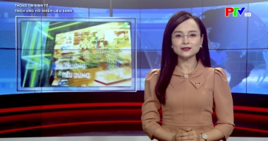 Tạp chí thông tin kinh tế - Thích ứng với nhiên liệu xanh