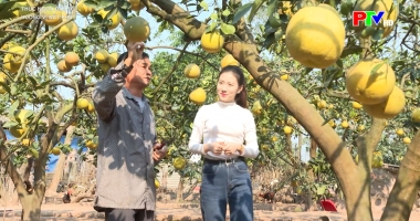 Thức ngon đất Tổ: Hương vị đất Phủ