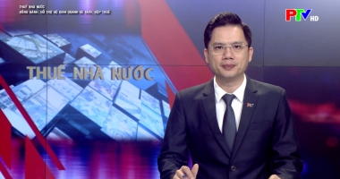 Thuế nhà nước - Đồng hành, hỗ trợ hộ kinh doanh kê khai, nộp thuế