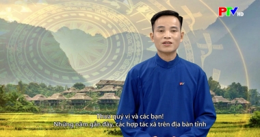 Tiếng Mường - Hiệu quả từ phát triển hợp tác xã nông nghiệp