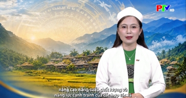 Tiếng Mường: Phát triển hợp tác xã nông nghiệp gắn với chuyển đổi số