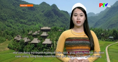 Tiếng Thái: Nhân rộng các mô hình sản xuất nông nghiệp