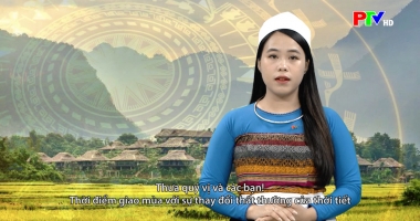 Tiếng Thái: Các trường học chủ động phòng chống dịch bệnh giao mùa