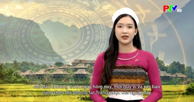 Tiếng Thái - Trang phục của người Tày