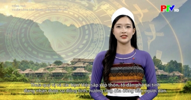 Tiếng Thái – Thuận lòng dân trong cuộc đại sắp xếp