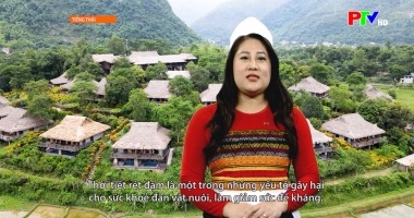 Tiếng Thái - Công viên di sản, nơi gìn giữ hiện vật các nhà khoa học