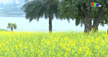 Dành cho thiếu nhi – Tìm hiểu về mùa xuân