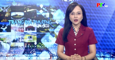 Trang địa phương ngày 08-06-2026