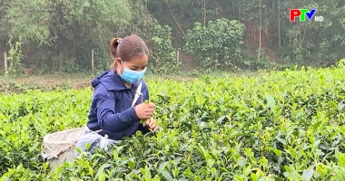 Trang địa phương ngày 22-06-2026