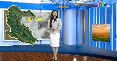 Dự báo thời tiết ngày 08-02-2026