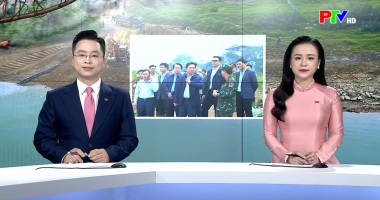 Chương trình thời sự ngày 15-02-2026