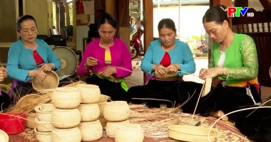 Bản tin tiếng Anh - Phu Tho News ngày 12-06-2026