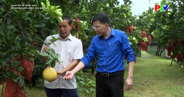 Chuyên đề khoa giáo – Mở đường cho nông sản miền núi