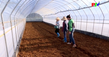 Khởi nghiệp sáng tạo – Vươn sức trẻ nơi vùng cao