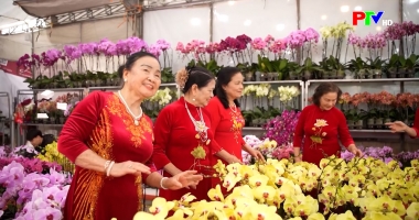 Phú Thọ ngày mới ngày 08-02-2026