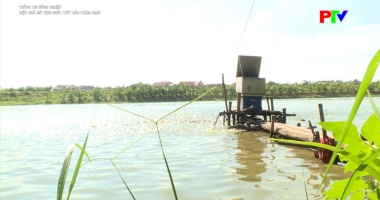 Thông tin nông nghiệp: Hiệu quả mô hình nuôi thủy sản thâm canh