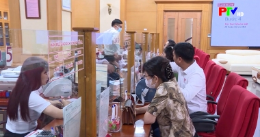 Thị trường tiêu dùng ngày 29-12-2025