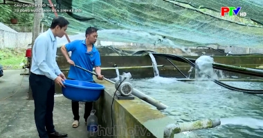 Câu chuyện cuối tuần - Từ dòng nước lạnh đến nơi sinh kế mới