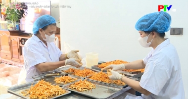 Chuyên đề khoa giáo: Sấy nông sản - giải pháp giảm áp lực tiêu thụ