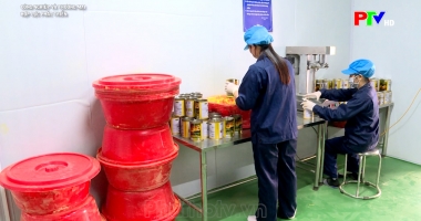 Công nghiệp và thương mại - Hợp lực phát triển