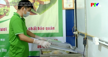 Công nghiệp và thương mại: Minh bạch nguồn gốc – Sản xuất bền vững