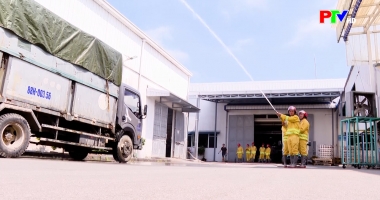 Cuộc sống thường ngày 11-06-2026