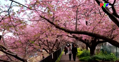 Cuộc sống thường ngày 2-3-2026