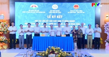 Cuộc sống thường ngày 28-4-3026