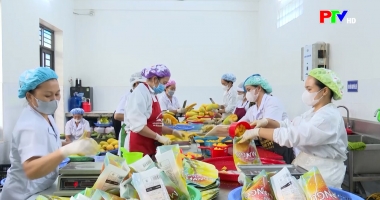 Cuộc sống thường ngày 19-12-2025