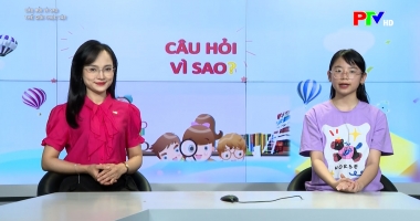 Dành cho thiếu nhi - Câu hỏi vì sao: Thế giới thực vật