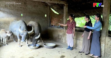 Giảm nghèo bền vững – Để thoát nghèo thực sự bền vững