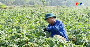 Giảm nghèo bền vững – Đa dạng sinh kế từ nông nghiệp truyền thống