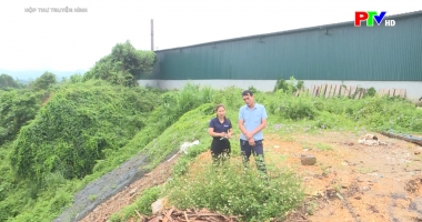 Hộp thư truyền hình ngày 21-06-2026