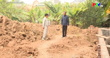 Hộp thư truyền hình ngày 25-1-2026