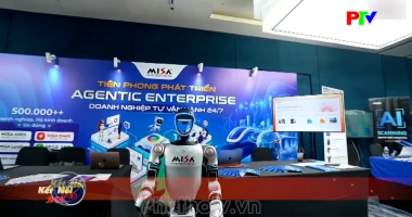 Kết nối 24h ngày 31-5-2026
