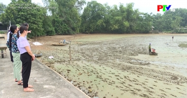 Chuyên đề khoa giáo - Phát triển nông nghiệp tuần hoàn