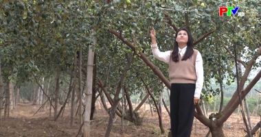 Khoảnh khắc cuộc sống – Khi mùa Xuân chín trên cành