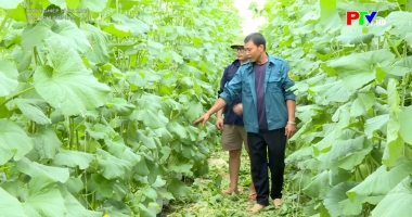 Khởi nghiệp sáng tạo - Dám nghĩ dám làm